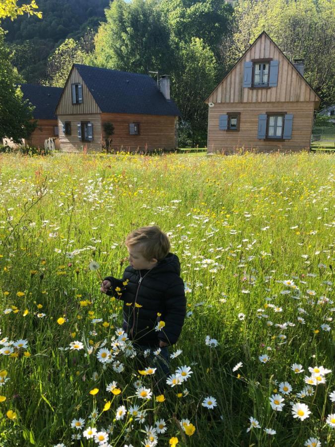 Les Chalets D'Arrens ภายนอก รูปภาพ